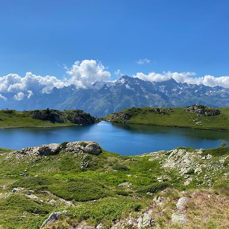 ווז'אני Chalet La Perle De L'Oisans - Appartements D'Exception מראה חיצוני תמונה